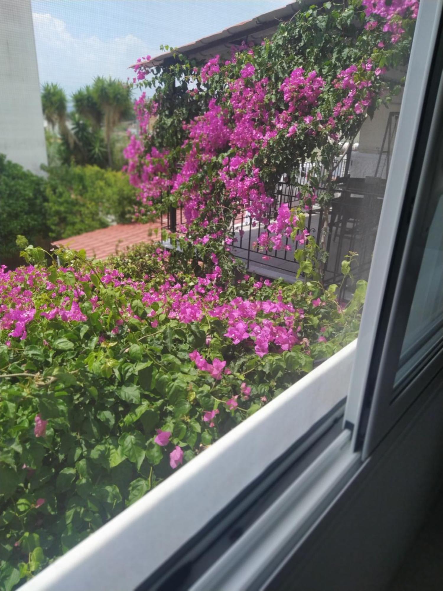 Kritharia Guesthouse Volos Ngoại thất bức ảnh